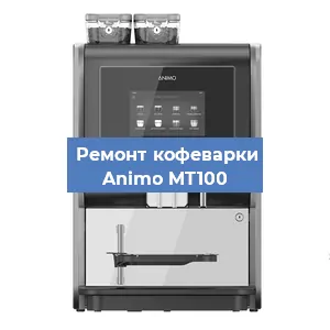 Замена прокладок на кофемашине Animo MT100 в Новосибирске